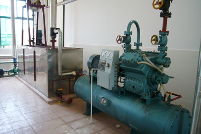 50噸--200噸棕櫚油精煉廠(chǎng)